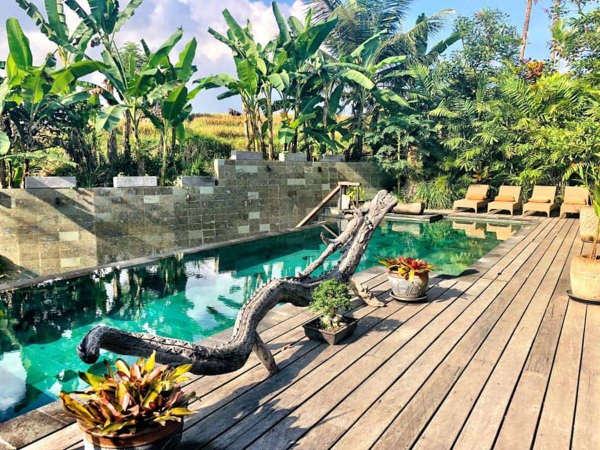 Dragon House - Your Dream House In Bali! Ubud Exterior foto